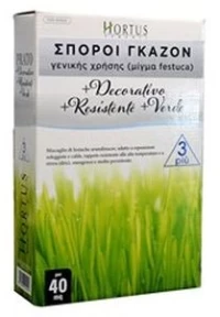 Γκαζόν Festuca Arudinaceae | 1kgr