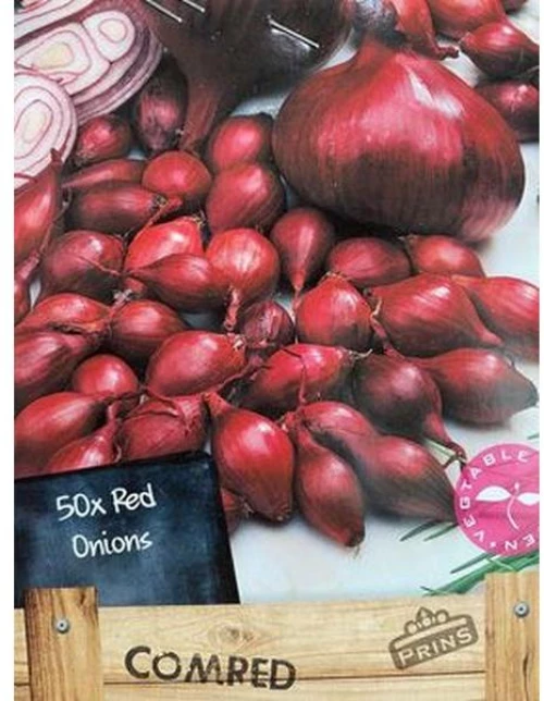 Κοκκάρι " Red Baron" | 750gr