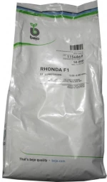 Παντζάρι Rhonda F1 | 50.000 σπόρων