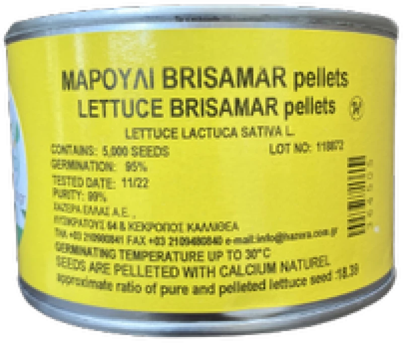 Μαρούλι Iceberg Brisamar | 5000 pellets