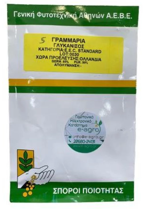 Γλυκάνισος Αρωματικός   Anise   | 5gr