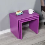 Σετ τραπεζάκια Ζιγκον Μωβ 55x47x40cm