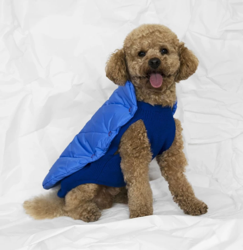 Poldo Dog Couture Cortina Blue 2 in 1 Reversible Dog Coat