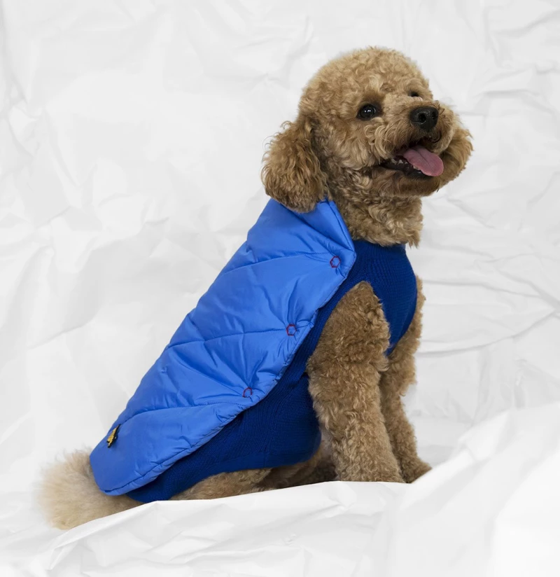 Poldo Dog Couture Cortina Blue 2 in 1 Reversible Dog Coat