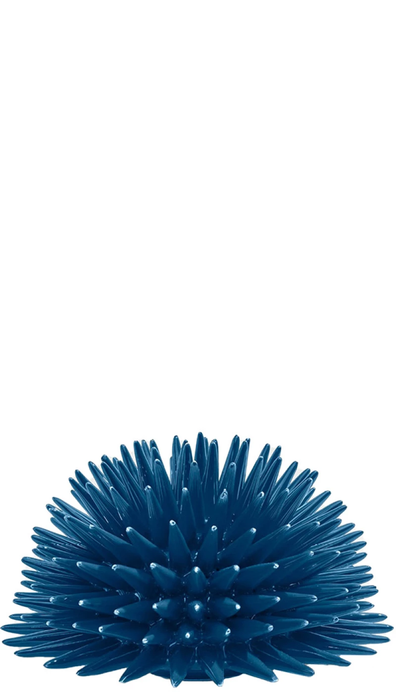 Διακοσμητικό Χώρου Ricciocaprese Riccio Decor Blue Capri