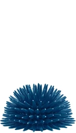 Διακοσμητικό Χώρου Ricciocaprese Riccio Decor Blue Capri