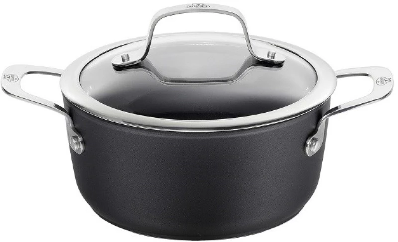 BALLARINI Alba pot with lid titanium 2.7 L ALBG2LD.20D