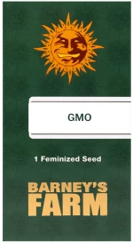 Barneys GMO - 1 seed