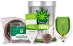 Royal Queen Seeds - IGrowCan