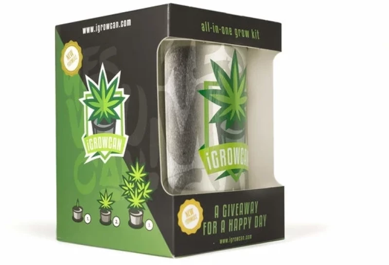 Royal Queen Seeds - IGrowCan