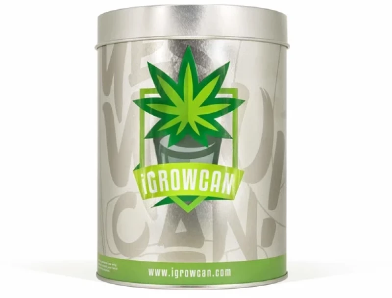 Royal Queen Seeds - IGrowCan