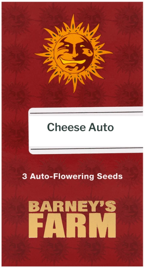 Barneys Cheese Auto - 3 seeds