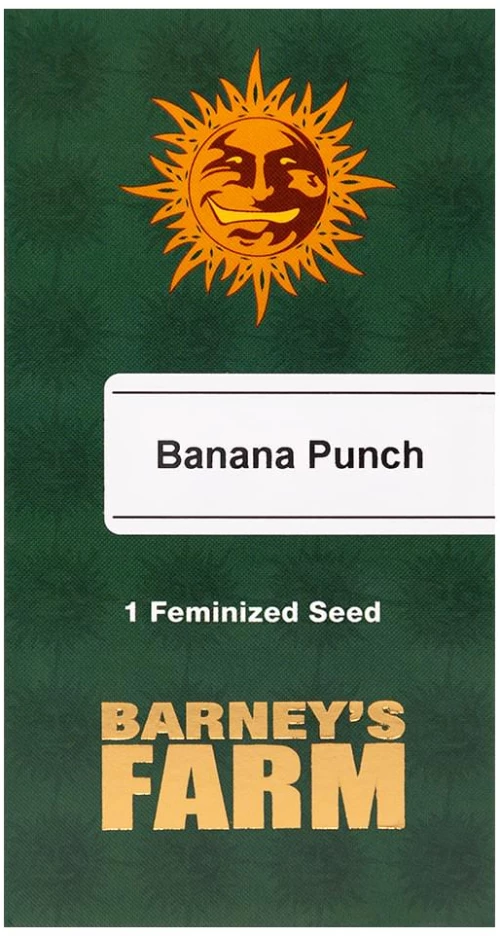 Barneys - Banana Punch - 1 seed