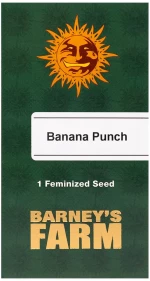 Barneys - Banana Punch - 1 seed