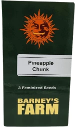 Barneys - Pineapple Chunk - 3 seeds