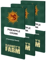 Barneys - Pineapple Chunk - 3 seeds