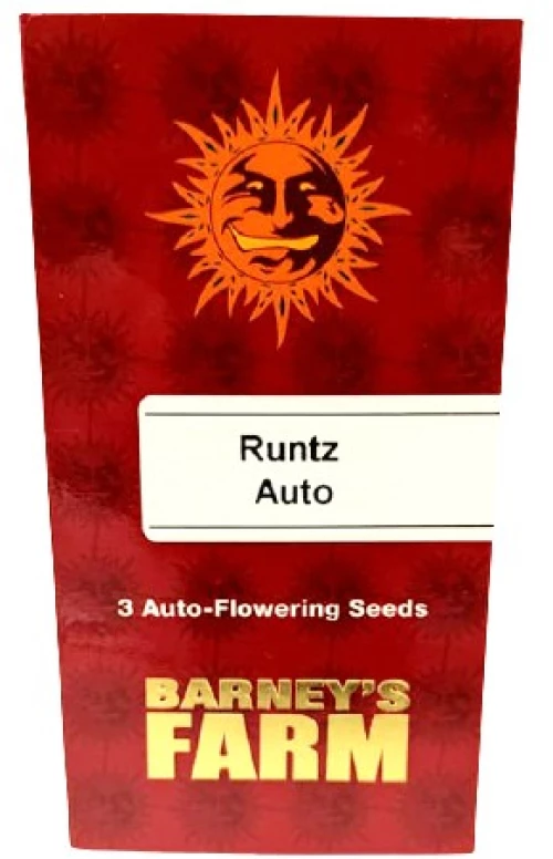 Barneys - Runtz Auto - 3 seeds