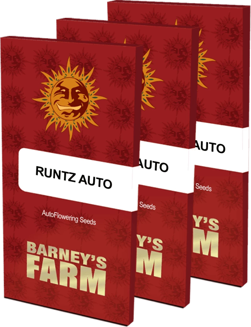 Barneys - Runtz Auto - 3 seeds