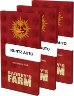 Barneys - Runtz Auto - 3 seeds