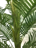 PALM TREE  NP9295_160  ΥΨΟΣ 160cm New Plan