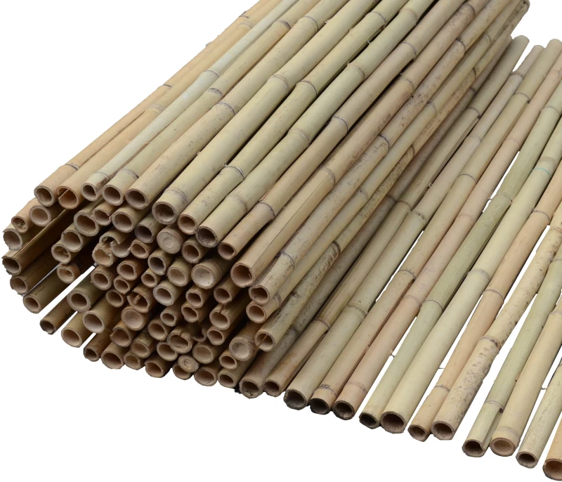 Καλαμωτή bamboo με περαστό σύρμα 14-20mm 250(Υ) x 300εκ