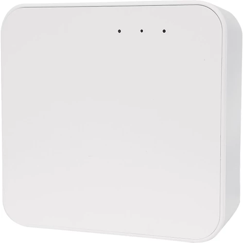 EuroSpot 2.4GHz Gateway