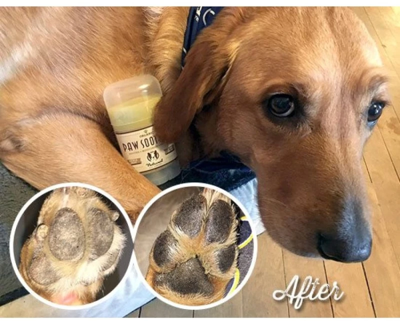 Προστατευτικό Balm Natural Dog Company PawTection 60ml για τις Πατούσες