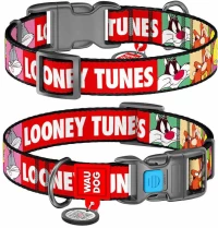 Περιλαίμιο WauDog Looney 2 Plastic Fastex 25mm x 31-49cm με SmartID