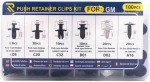 Push Retainer Clips Kit 100pcs