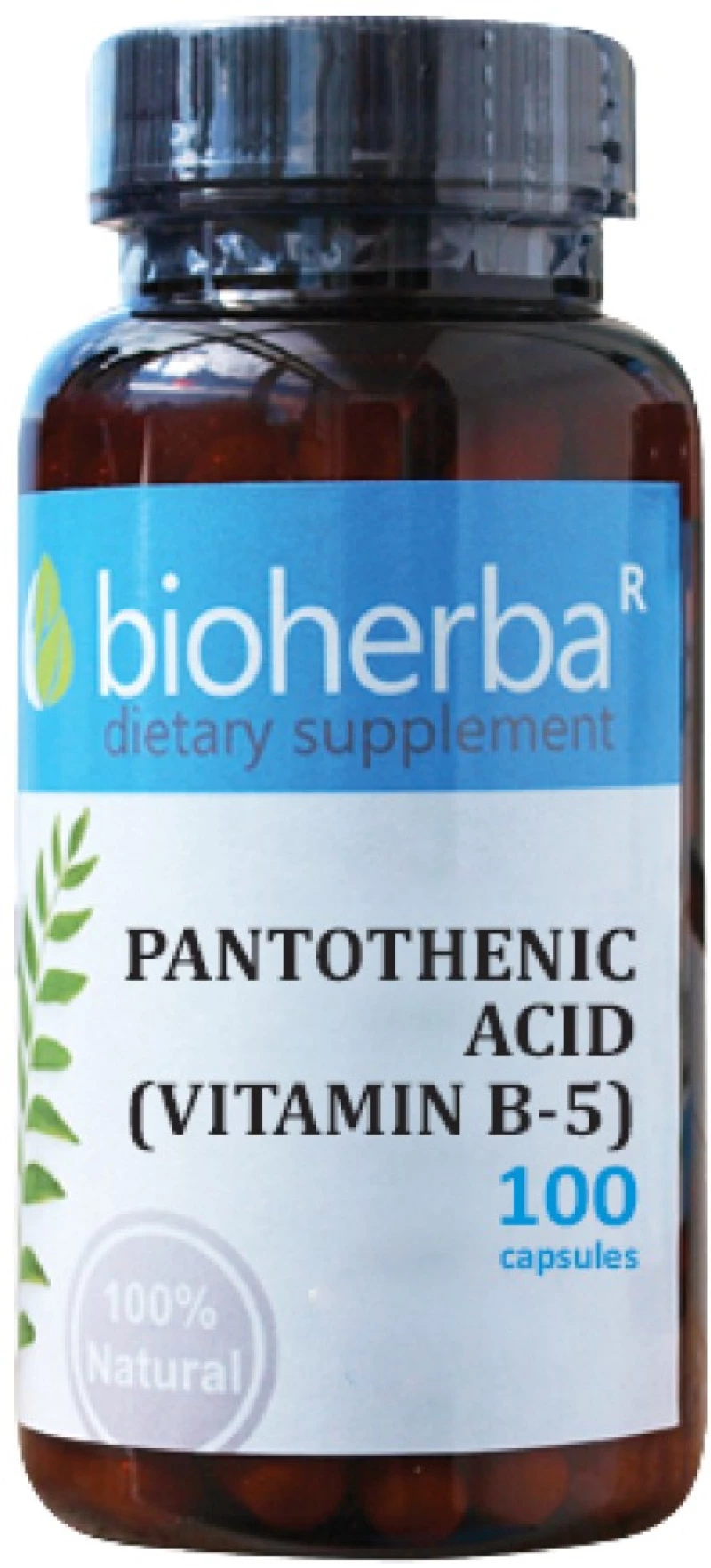 Bioherba Pantothenic Acid | Vitamin B-5 [100 Κάψουλες]