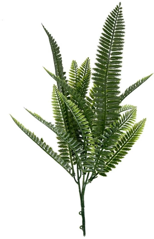Διακοσμητικό Μπουκέτο (σετ 10τμχ) AMALFI W027 SPLEENWORT New Plan