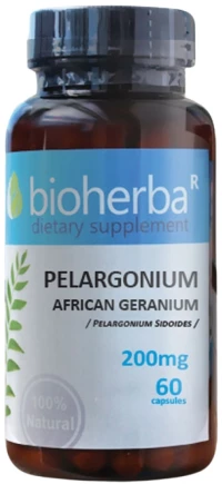 Bioherba Pelargnium 200 mg | African Geranium (Pelargonium Sidoides) [60 ]