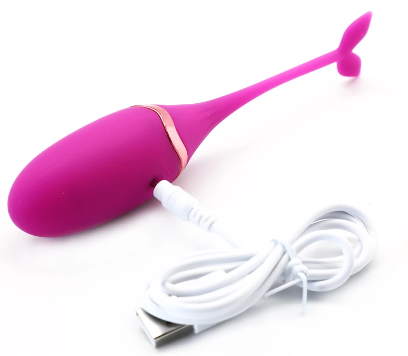 Purple 10 Speeds USB Silicone Vibrating Egg 15 cm