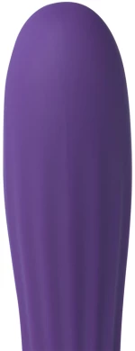 10-Speed Purple Color Silicone Clitoral Squirrel Vibrator