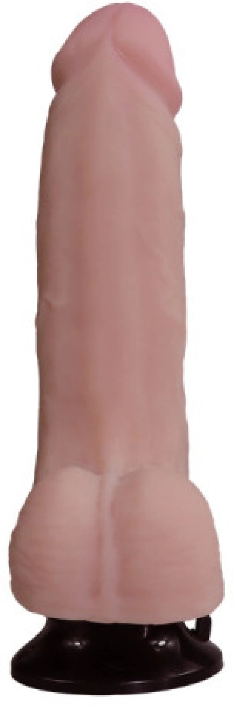TOYBOY ATLAS Realistic suction dildo Vibrator 19 cm