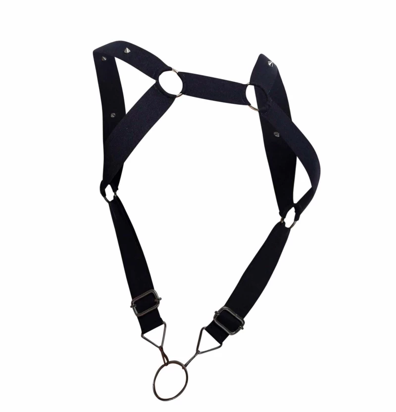 DNGEON Harness