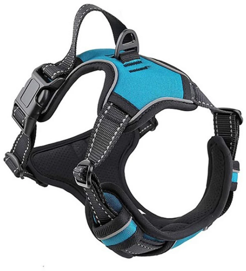 Goget Pro Σαμαράκι Σκύλου με Χειρολαβή Γαλάζιο XL 2.5x80-105cm