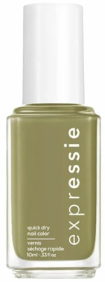 Βερνίκι νυχιών Essie Expressie Nº 320 S05112437