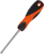 SCREWDRIVER T30X100mm