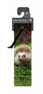 Σελιδοδείκτης IF 3D-Hedgehog