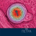 Η Ζωή Εν Πέτρα