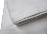 Πετσέτα PLAIN Line Cotton 100% 500gr/m2 70x140 Le Blanc