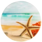 POP HOLDER STARFISH ON SANDY BEACH 112.0085