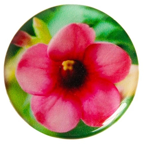 POP HOLDER  hibiscus 112.0032