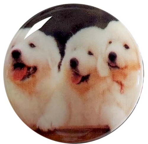 112.0128 POP HOLDER PUPPIES