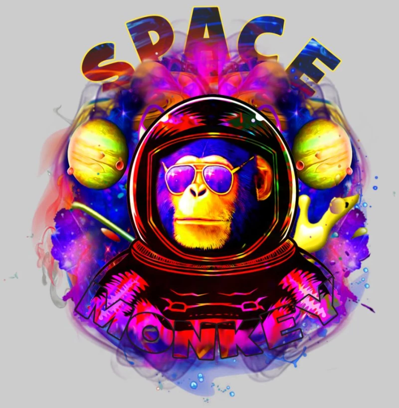 Space Monkey w Φουτερ - FUCHSIA