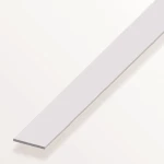Βέργα Πλακέ Αλουμινίου 100x40x0.3mm