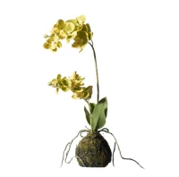 Τεχνητό Φυτό Ορχιδέα Phalaenopsis Real Touch Πράσινη με Βάση Moss 40 εκ. 7070-6 Supergreens 7070-6 Πράσινο