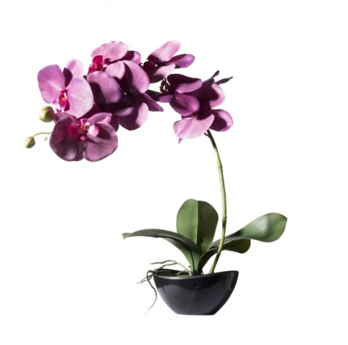 Τεχνητό Φυτό Ορχιδέα Phalaenopsis Real Touch Μωβ με Κασπώ 48 εκ. 2170-6 Supergreens 2170-6 Μωβ