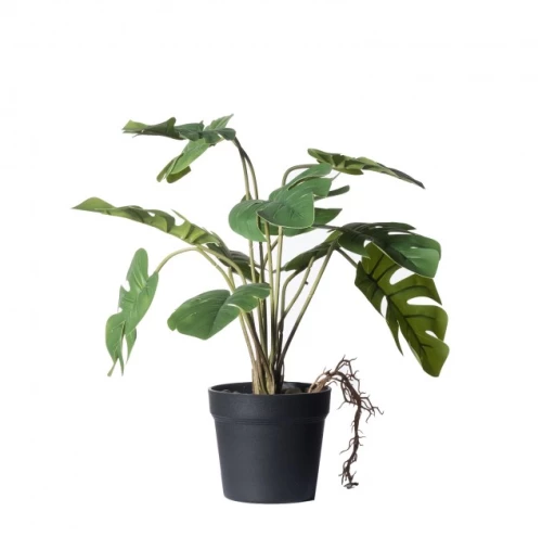 Τεχνητό Φυτό Μονστέρα Minima 35 εκ. 1260-6 Supergreens 1260-6 Πράσινο